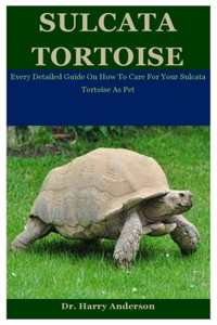 Sulcata Tortoise