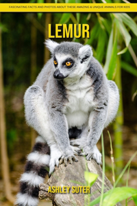 Lemur