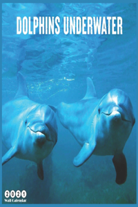 Dolphins Underwater 2021 Wall Calendar