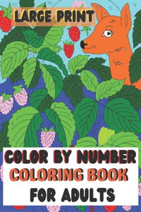 Large Print Color By Number Coloring Book For Adults