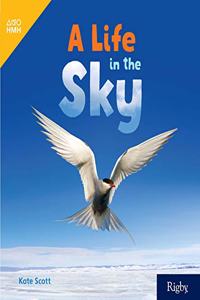 Life in the Sky