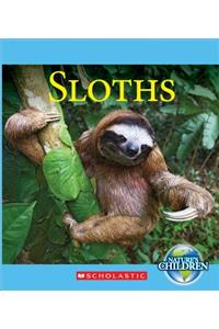 Sloths (Nature's Children)