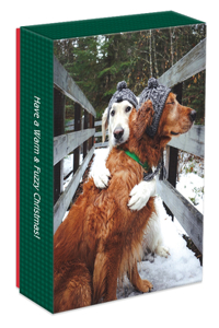 Puppy Love 5x7 Holiday NC