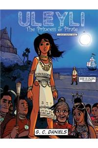 Uleyli-The Princess & Pirate (A Junior Graphic Novel)
