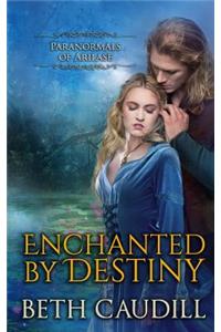 Enchanted by Destiny