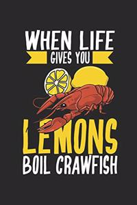 When Life gives you Lemons