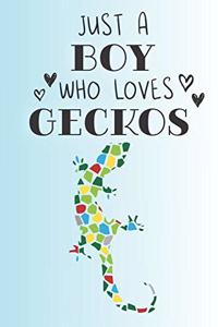 Just A Boy Who Loves Geckos