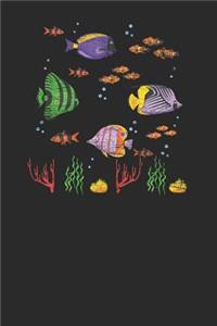 Fish With Corals