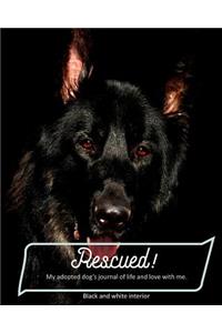 Rescued! My adopted dog's journal of life and love with me.