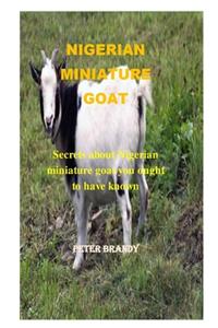 Nigerian Miniature Goat