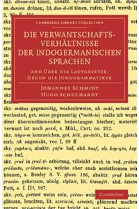 Die Verwantschaftsverhältnisse der indogermanischen Sprachen