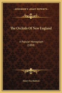 Orchids Of New England