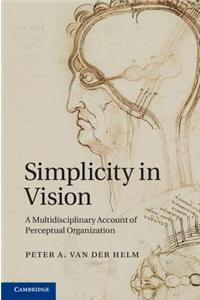 Simplicity in Vision