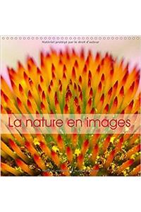 Nature En Images 2017