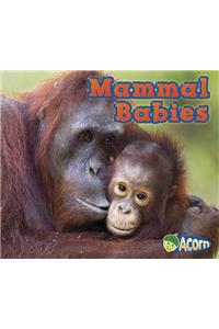 Mammal Babies
