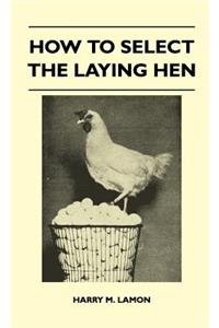 How To Select The Laying Hen