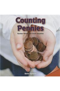Counting Pennies