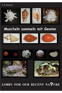 Muscheln Sammeln Mit Gewinn