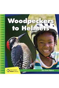 Woodpeckers to Helmets
