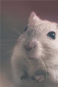 An Adorable Little Pet Mouse Up Close Journal