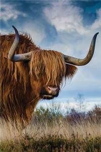 Longhorn Bull Journal