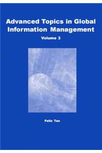 Advanced Topics in Global Information Management