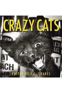 Crazy Cats