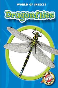 Dragonflies