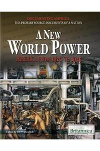 New World Power