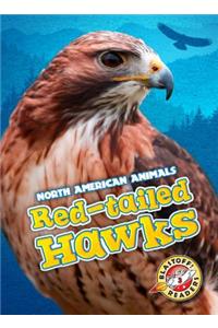 Red-Tailed Hawks