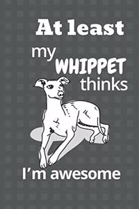 At least my Whippet thinks I'm awesome