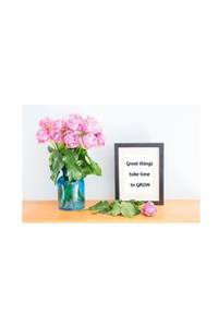 Great things take time to GROW