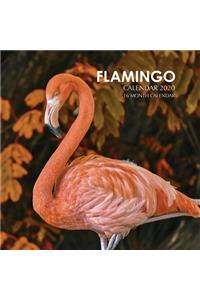 Flamingo Calendar 2020