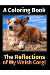 Reflections of My Welsh Corgi