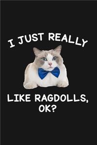 I Just Really Like Ragdolls Ok