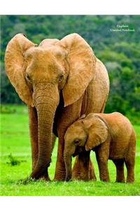 Elephant Unruled Notebook
