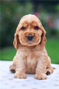 Adorable Cocker Spaniel Puppy Journal