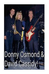 Donny Osmond & David Cassidy!: The Ultimate 70s Heartthrobs!