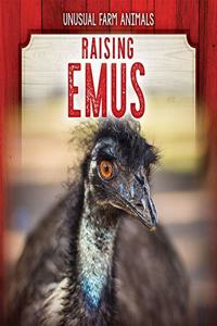 Raising Emus
