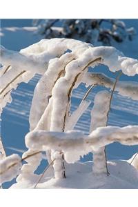 Winter Theme School Composition Book Snow Covered Twigs 130 Pages