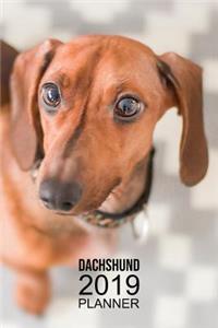 Dachshund Planner