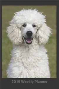 Plan on It 2019 Weekly Calendar Planner - Let's Play Fetch Poodle