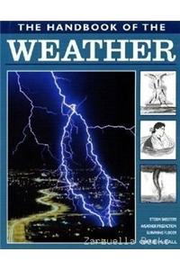 The Weather: Storm Shelters, Weather Protection, Surviving Floods
