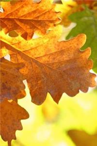 Exquisite Oak Leaves in the Fall Journal