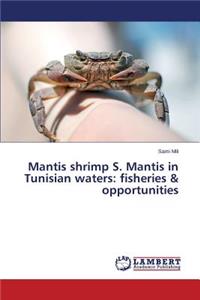 Mantis shrimp S. Mantis in Tunisian waters