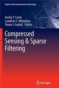 Compressed Sensing & Sparse Filtering