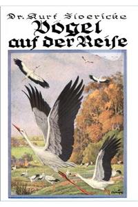 Vögel auf der Reise