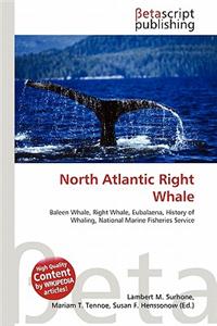 North Atlantic Right Whale