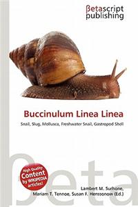 Buccinulum Linea Linea