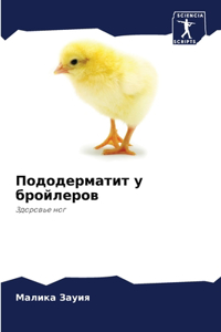Пододерматит у бройлеров